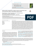 Madecassoside Encapsulated in Alginate Chitosan Nanoparticles Exerts Anti-Excitotoxicity Effects in Pilocarpine-Induced Seizure