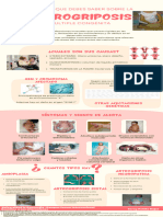 Infografía Moderna Ilustrada Endometriosis Rojo Amarillo