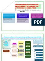 Modelos y Marcos Referencia Ocupacionales