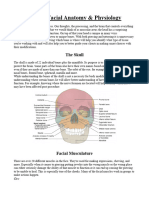 Skull Anatomy