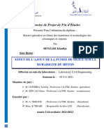 Effet de L'ajout de La Fumee de Silice Sur La Durabilite Du Beton