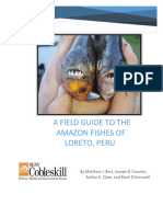 Best Et Al., (2015) A Field Guide To The Amazon Fishes of Loreto Peru 2nd Ed