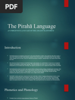 The Pirahã Language