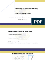 Heme Metabolism TAU