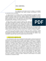 Contenido de La Industria Carbonifera