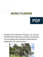 Reino Plantae Si