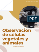 Observación de Celulas