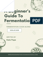 A Beginers Guide To Fermentation