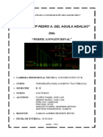 Monografia Perfil Longitudinal