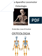 Anatomia Aparelho Locomotor Farmacia Anchieta 2020 2