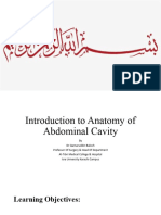 Abdominal Anatomy