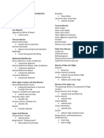 Muscles and Its Location