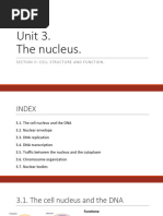 Unit 3. The Nucleus