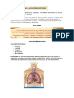 Sistema Cardiorespiratorio