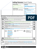 Lesson Plan Food Chains