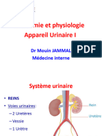 Systeme Urinaire I