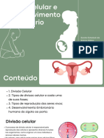 Apresentava Sobre Formação Do Embrião