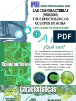 CIANOBACTERIAS Presentación Diapositiva