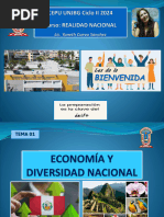 RN Tema 01 Economia y Diversidad Cultural