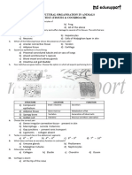 Neet Structural Organisation in Animals Test