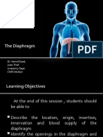 The Diaphragm