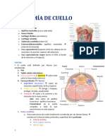 Anatomía de Cuello