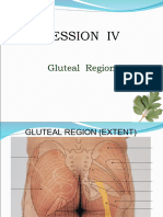 Gluteal Region