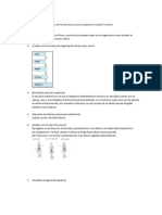 Examen de Anatomia Tamp