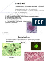 Micologia Micosis Subcutaneas y Sistemicas