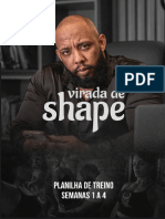 Virada de Shape 1 Treino