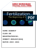 Pdf&rendition 1