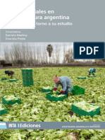 SALATINO, María Noelia (2020) Horticultura en El Valle de Uco, Una Aproximación A Los Sujetos Sociales