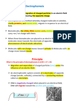 Electrophoresis