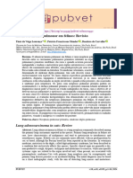 Adenocarcinoma Pulmonar em Felinos: Revisão: Lung Adenocarcinoma in Cats: Review