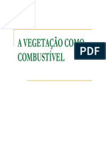 A Vegetação Como Combustível