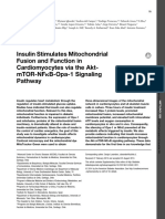 Insulin Stimulates Mitochondrial Fusion