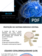 Aula 9 - Estudo Clínico e Laboratorial Do LCR - Profa. Thiara Manuele