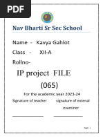 Ip Project File