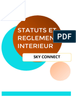 STATUTS Et RI Sky Connect