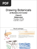 Drawing Botanicals, Class 6 :: Watercolor