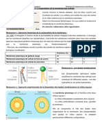 Activité - La Membrane Plasmique