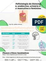 Anatomorfofisiologia Un. 1 - Digestório