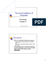 The Sound Patterns of Language