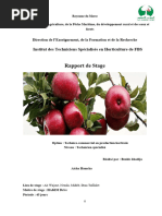 Rapport de Stage Pommier