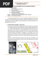 INFORME INTERNO - Condiciones Geomecanicas RA 925 E