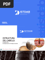 Clase 2 Tricologia Estetica Estructura Del Pelo - Istdab 2