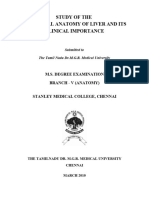 Thesis Liver Segmental Anatomy