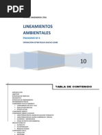 Lineamientos Poligono #3 Nuevo Usme