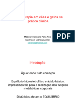 Fluidoterapia em Cães Gatos Na Prática Clínica