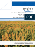 Sorghum: Weed Control